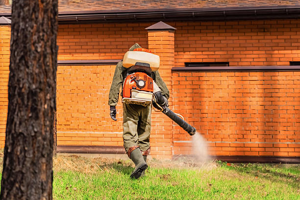 Trusted Rodent Control service in Bensenville, IL - Nex Pest Control